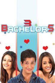3 Bachelors 2012 on netflix