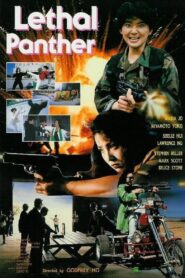 Lethal Panther 1990 on netflix