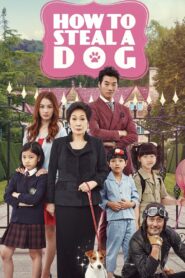 How to Steal a Dog 2014 on netflix