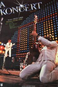 A koncert 1981 on netflix