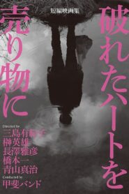 Broken Hearts for Sale 2015 on netflix