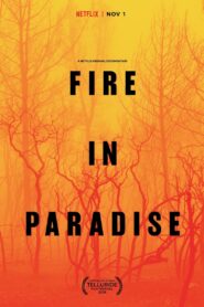 Fire in Paradise 2019 on netflix