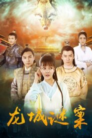 龙城迷案 2024 on netflix