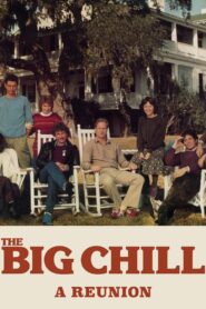 The Big Chill: A Reunion 1999 on netflix