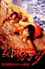Female Prisoner Kaori Jailbreak From Prison Punishment Cell 2002 on netflix