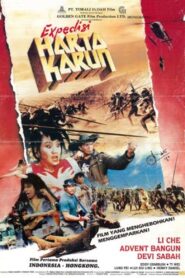 Treasure Expedition 1990 on netflix