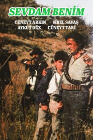 Sevdam Benim 1987 on netflix