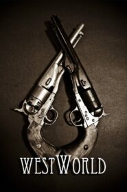 WestWorld 2006 on netflix