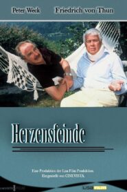 Herzensfeinde 2001 on netflix