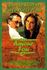 An American Love 1994 on netflix