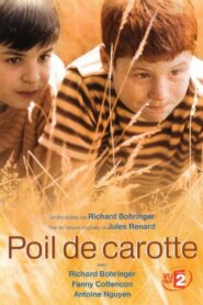 Carrot Top 2003 on netflix
