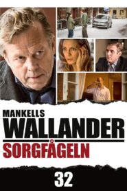 Wallander: The Sad Bird 2013 on netflix