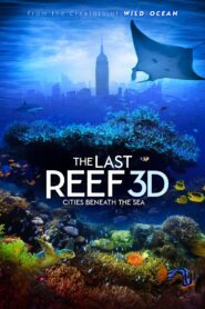 The Last Reef: Cities Beneath the Sea 2012 on netflix