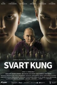 Black King 2014 on netflix