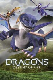 Dragons: Destiny of Fire 2006 on netflix