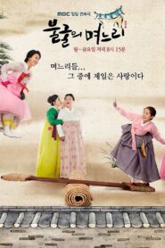 Indomitable Daughters-in-Law 2011 on netflix