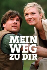 Mein Weg zu Dir 2003 on netflix