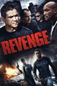 Revenge 2007 on netflix