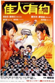The Perfect Match 1982 on netflix