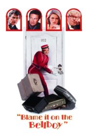 Blame It on the Bellboy 1992 on netflix