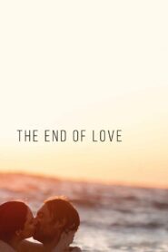 The End of Love 2020 on netflix
