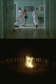 The Rite Of Spring 2008 on netflix