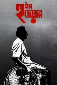 Wheel Chair 1994 on netflix
