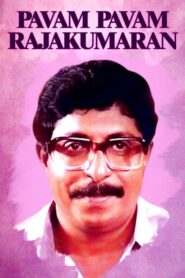 Paavam Paavam Rajakumaran 1990 on netflix