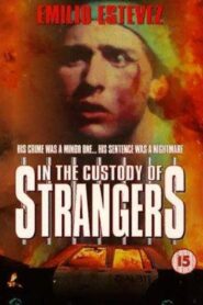 In the Custody of Strangers 1982 on netflix