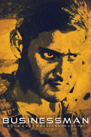 Businessman 2012 on netflix