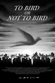 To Bird or Not to Bird 2024 on netflix