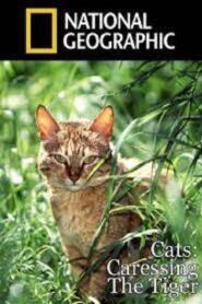 Cats: Caressing The Tiger 1991 on netflix