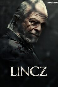 Lynch 2010 on netflix