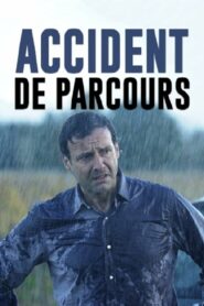 Deadly Hitch 2011 on netflix