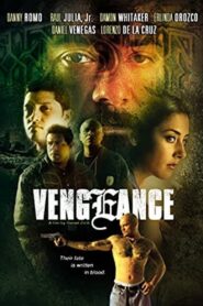 Vengeance 2004 on netflix