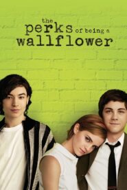 The Perks of Being a Wallflower 2012 on netflix