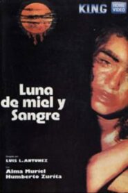 Luna de sangre 1984 on netflix