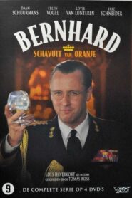 Bernhard, Scoundrel of Orange 2010 on netflix