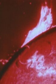 Sonnenstube 2022 on netflix