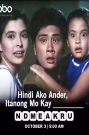 Hindi Ako Ander, Tanong Mo Kay Kumander 1996 on netflix
