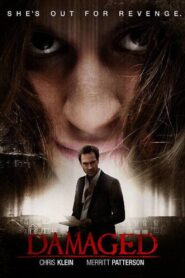 Damaged 2015 on netflix