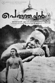 Perumthachan 1991 on netflix