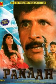 Panaah 1992 on netflix