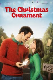 The Christmas Ornament 2013 on netflix