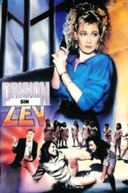 Prison Without Law 1990 on netflix