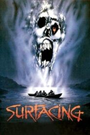 Surfacing 1981 on netflix