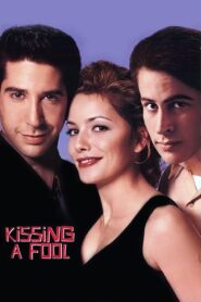 Kissing a Fool 1998 on netflix
