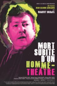 Mort subite d’un homme théâtre 2012 on netflix