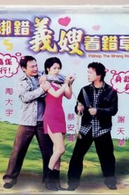 Kidnap the Wrong Person 2003 on netflix