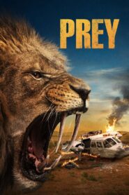 Prey 2024 on netflix